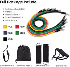 Power Resistance Elastic Band 12 Piece Set with Belt- 145kg